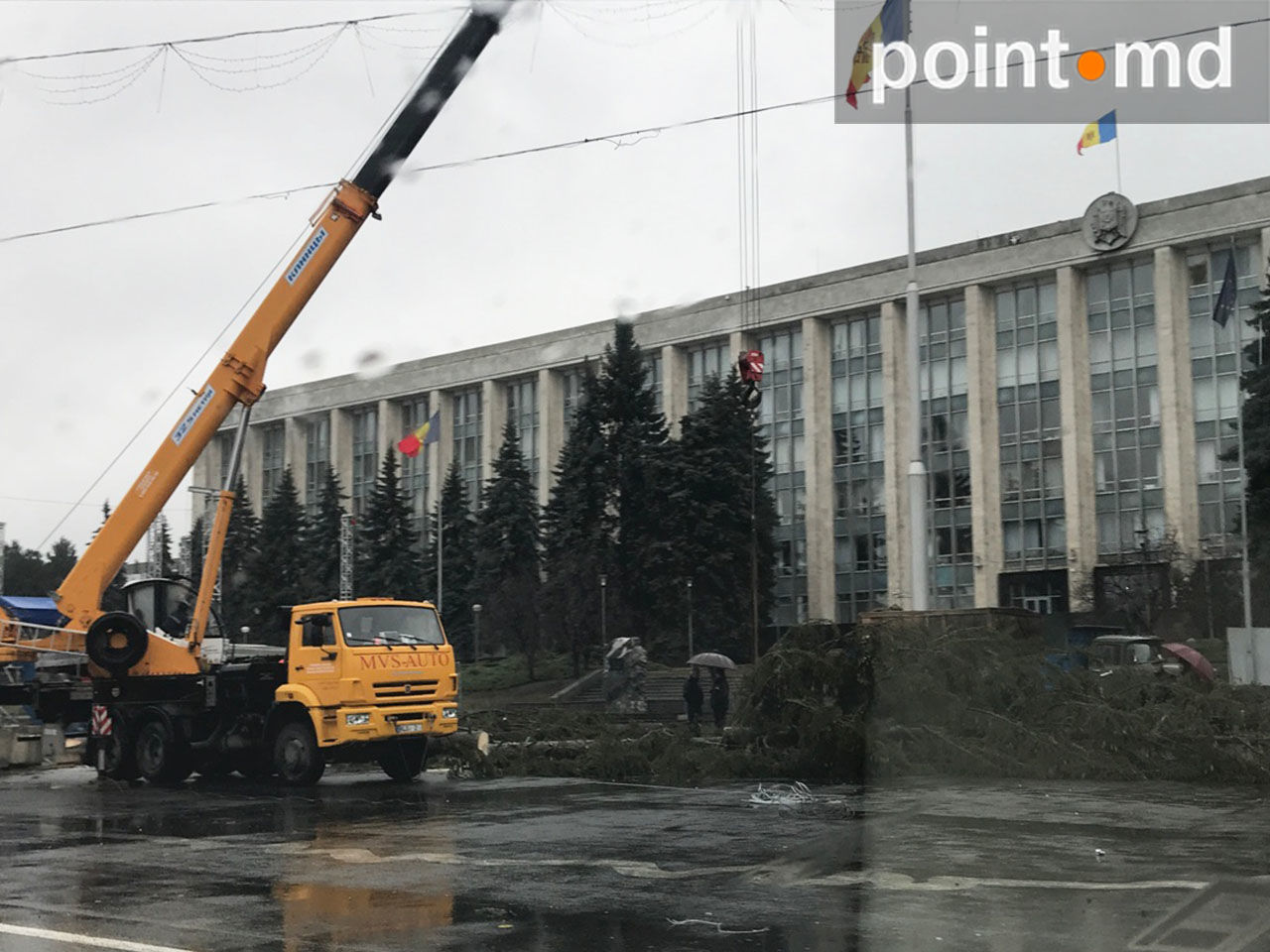 Ilian Cașu, despre Pomul de Crăciun: Acum vor tăia un brad de la Botanica