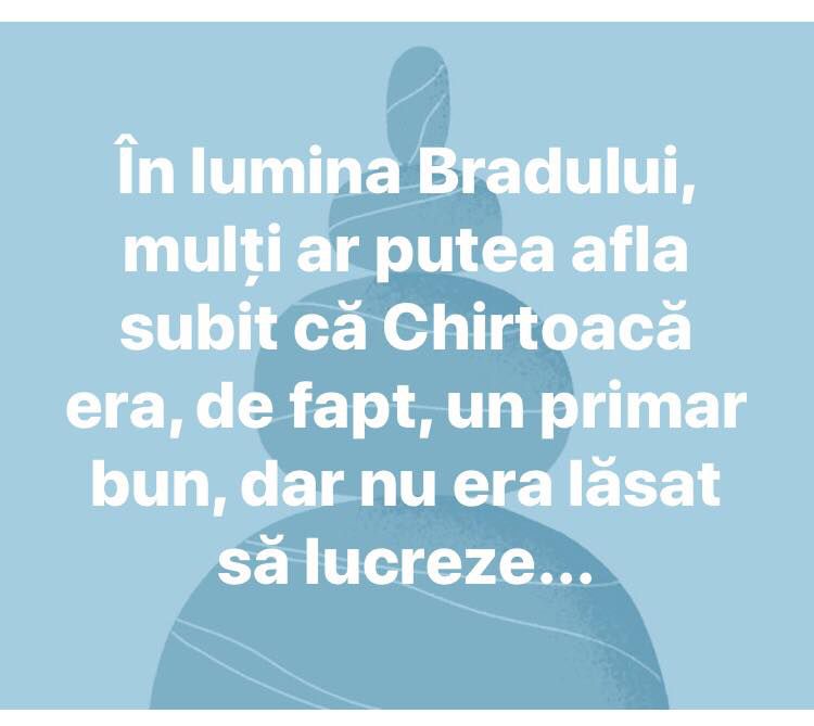 Bradul din PMAN, generator de glume copioase pe Facebook. Cele mai inspirate comentarii