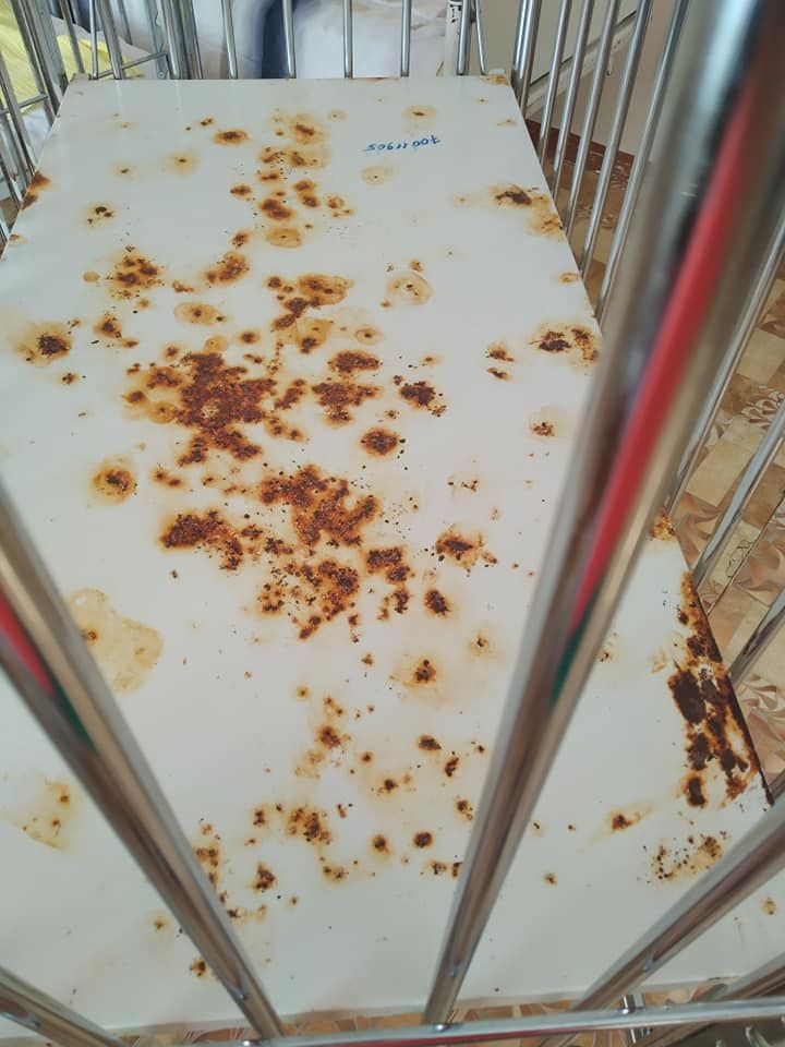 Ужасные условия в Институте матери и ребенка шокировали молодую маму