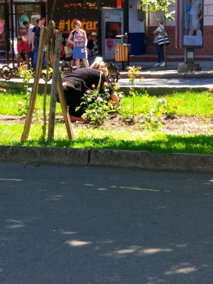 Две женщины нарвали букет цветов из клумбы в центре Кишинева