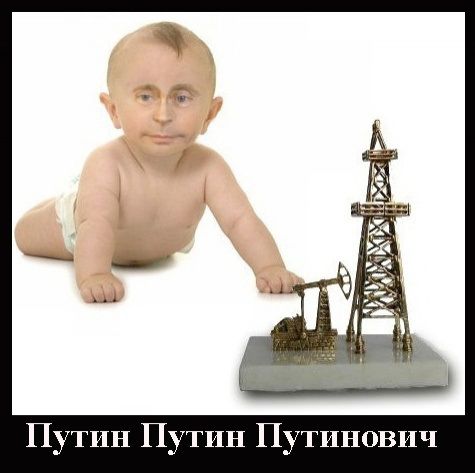 В Египте родился Путин: сеть шутит мемами