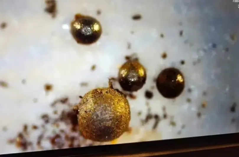 Study physics ifmo. Study physics ifmo. Последовательность круглых наноструктур. Students up развития soft skills в итмо. Физтех итмо.