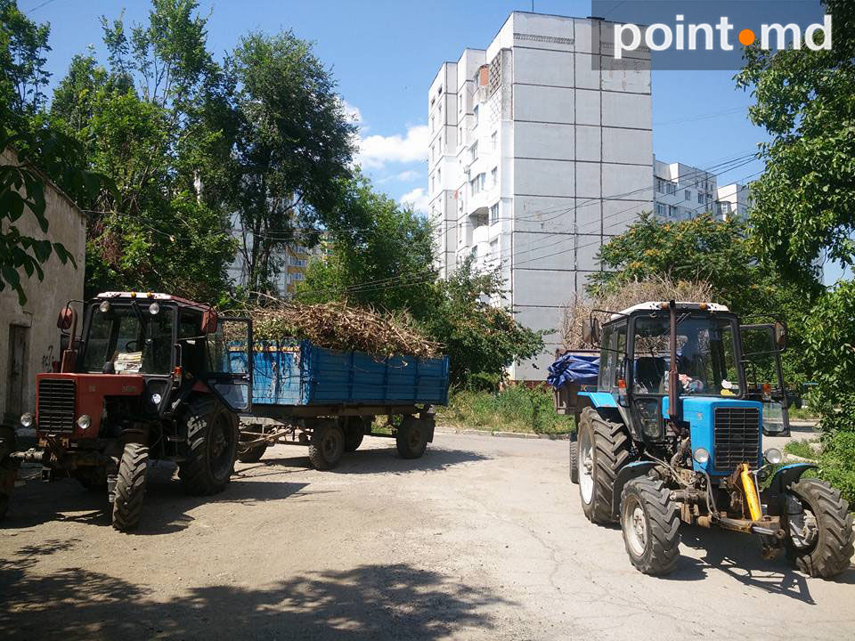 На стадион жилого городка Аэропорта свозят ветки