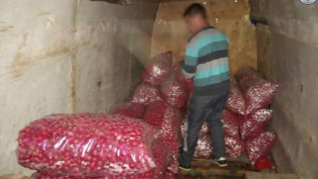 Таможенники изъяли более одной тонны редиски без сопроводительных документов
