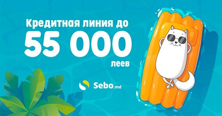 Sebo: С Credit Line у вас есть до 55 000 леев