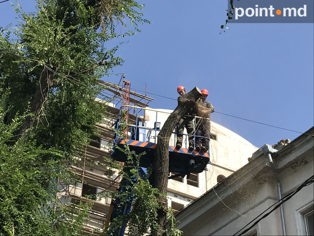 Cum sunt tăiaţi arborii de pe bulevardul Ştefan ce Mare şi Sfânt