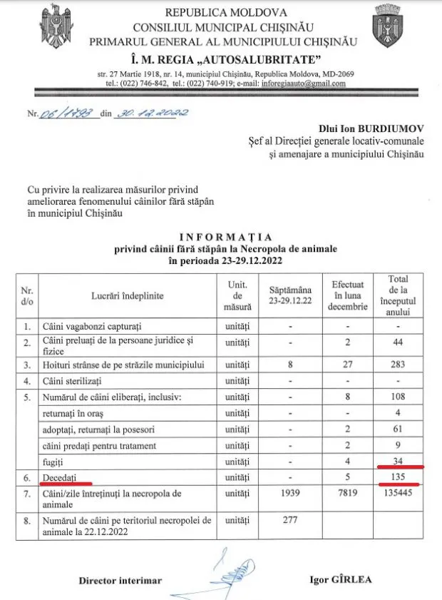 Активисты: Мэрия выделила недостаточно денег на защиту животных