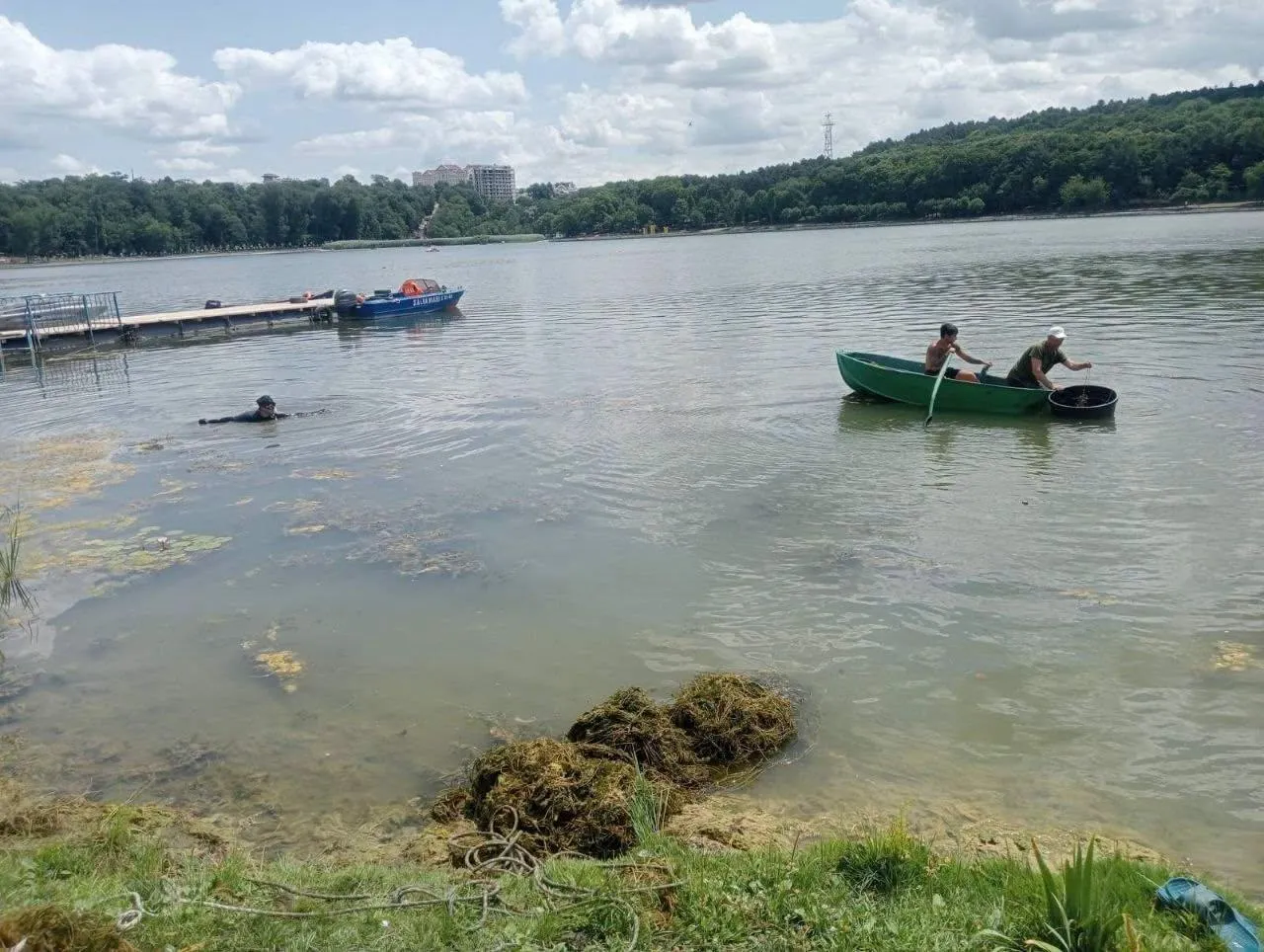 Воду в озере парка «Валя Морилор» очищают от водорослей