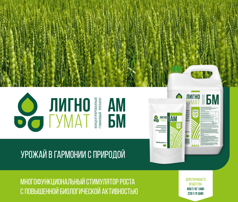 Лигногумат — матрица для «препаратов будущего»  ®