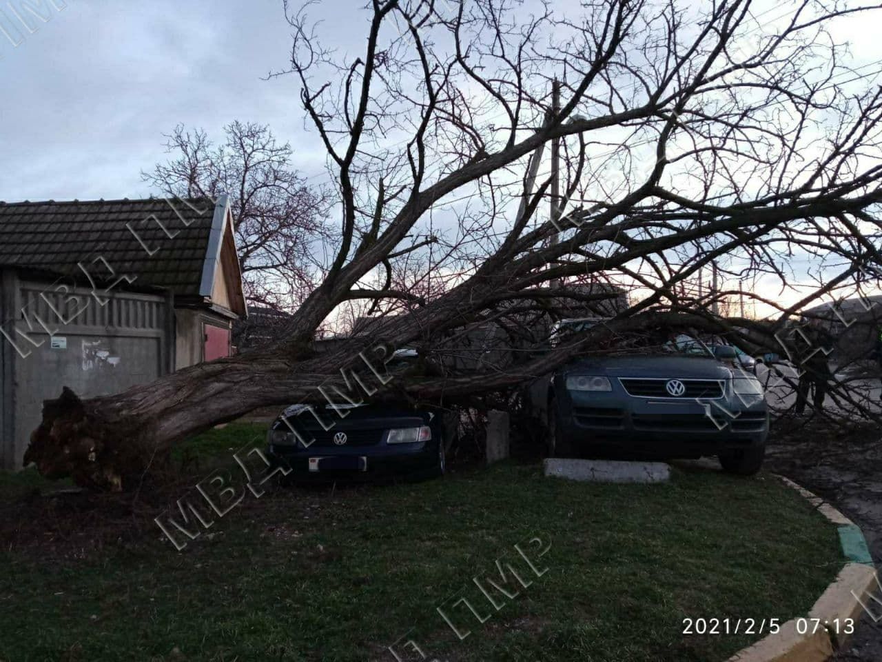 Упавшее дерево повредило два автомобиля в Дубоссарах