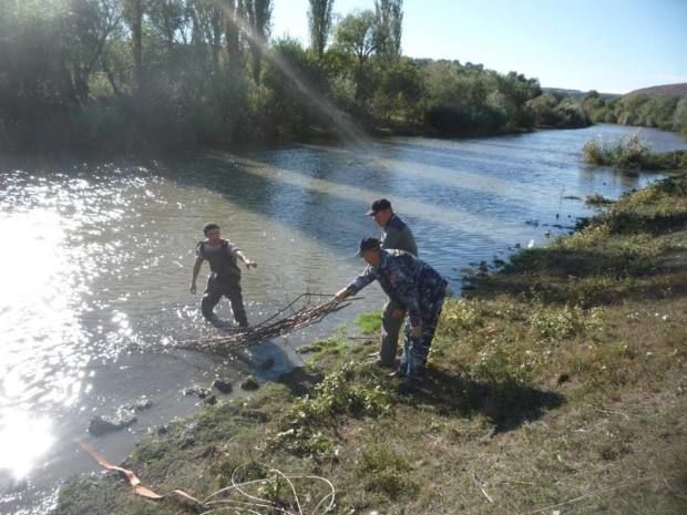 Gardurile ilegale de pe Răut au fost scoase practic în totalitate