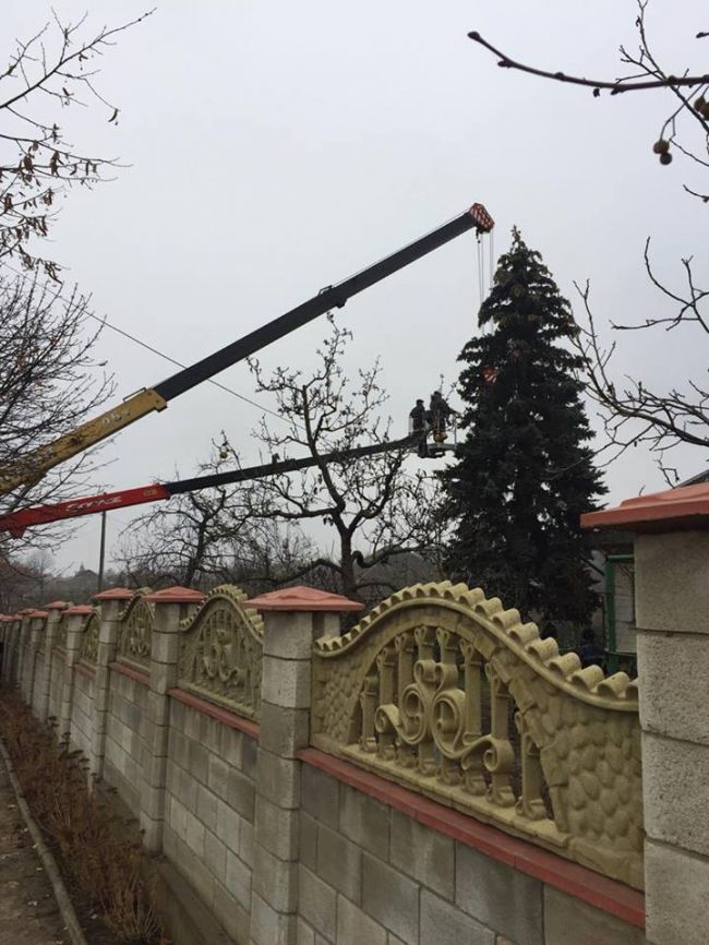 Главную новогоднюю ёлку страны спилили и везут в Кишинев