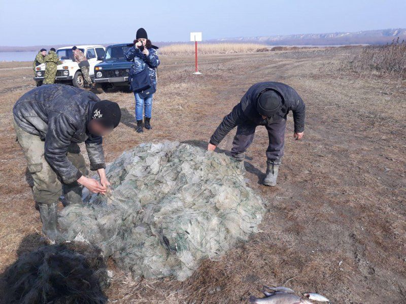 В заповеднике "Prutul de Jos" незаконно выловили 45 килограммов рыбы