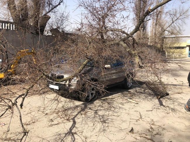 Из-за непогоды в стране пострадало большое количество автомобилей