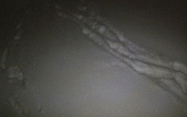 Следы на снегу выдали молдаван, пытавшихся незаконно попасть на родину