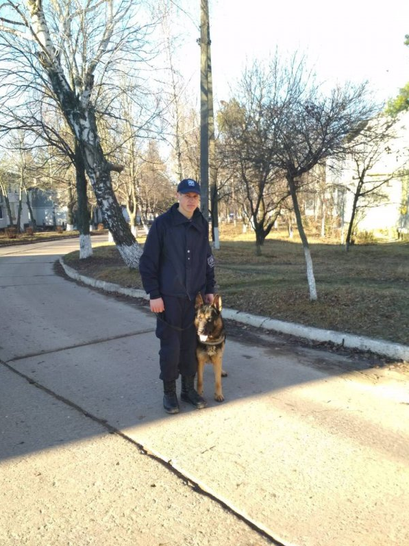 Четвероногий пограничник помог полиции Рышкан найти вора