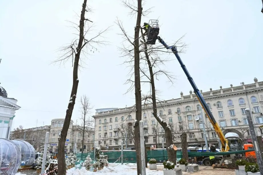 В столичном сквере "Михай Эминеску" проводятся лесотехнические работы