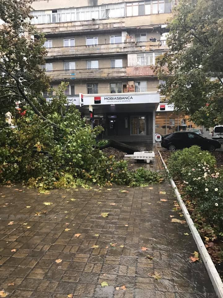 Непогода в Кишиневе: Албишоара вновь затоплена, на Колумне упало дерево
