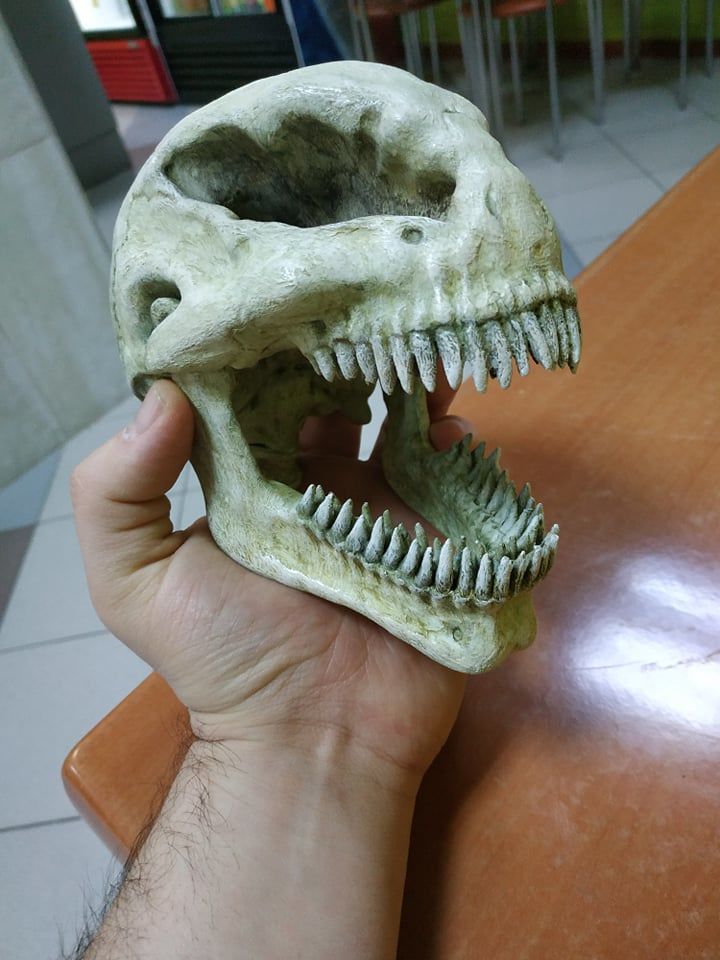 Молодой человек из Молдовы создал бюст "Короля Ночи" из "Игры престолов"
