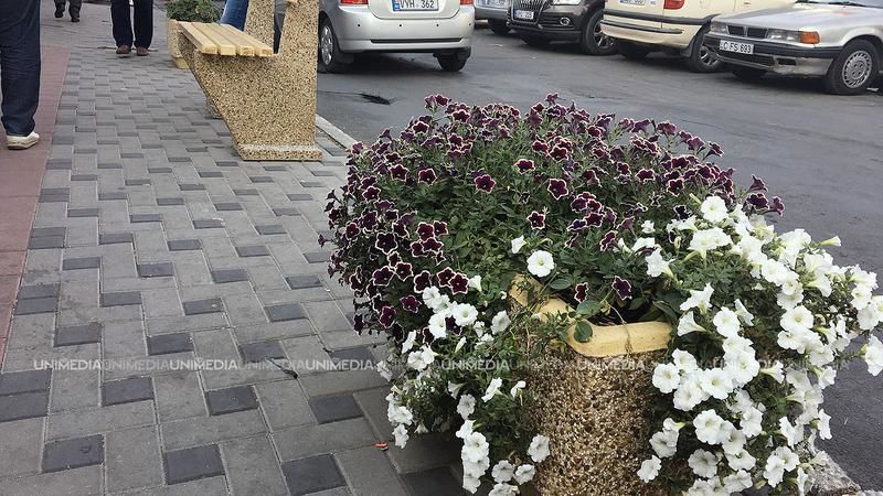 В районе Центрального рынка появились скамейки, тротуарная плитка и цветы