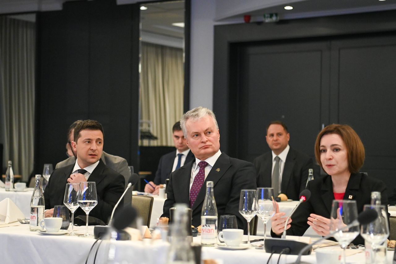 Президент Литвы: Украина, Грузия и Молдова должны получить европейскую перспективу