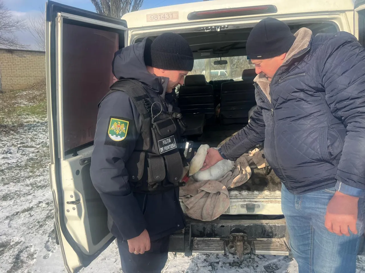 Polițiștii de Frontieră au salvat o lebădă pe malul râului Nistru