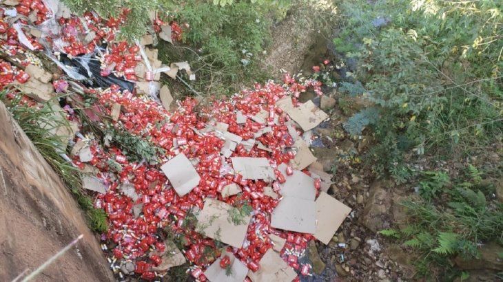 В Парагвае грузовик с 30 тысячами банок пива опрокинулся и обрадовал прохожих