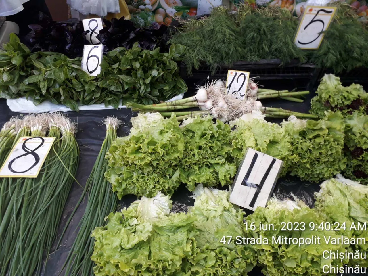 На рынке стручковую фасоль продают по 70 леев за килограмм