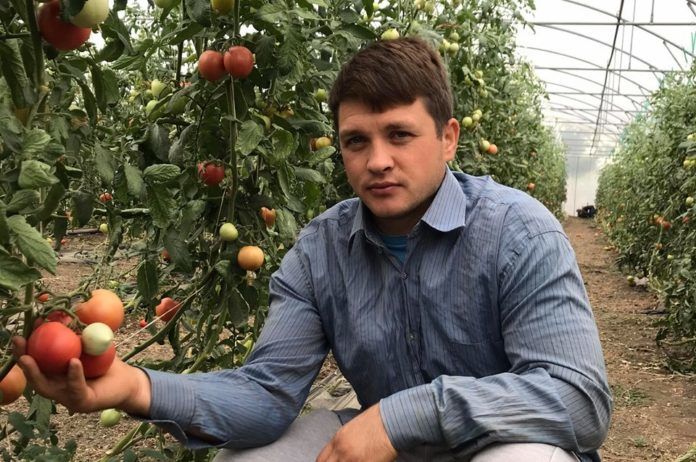 Agrobiznes: Василе Роман выращивает овощи, чтобы быть с семьей, дома