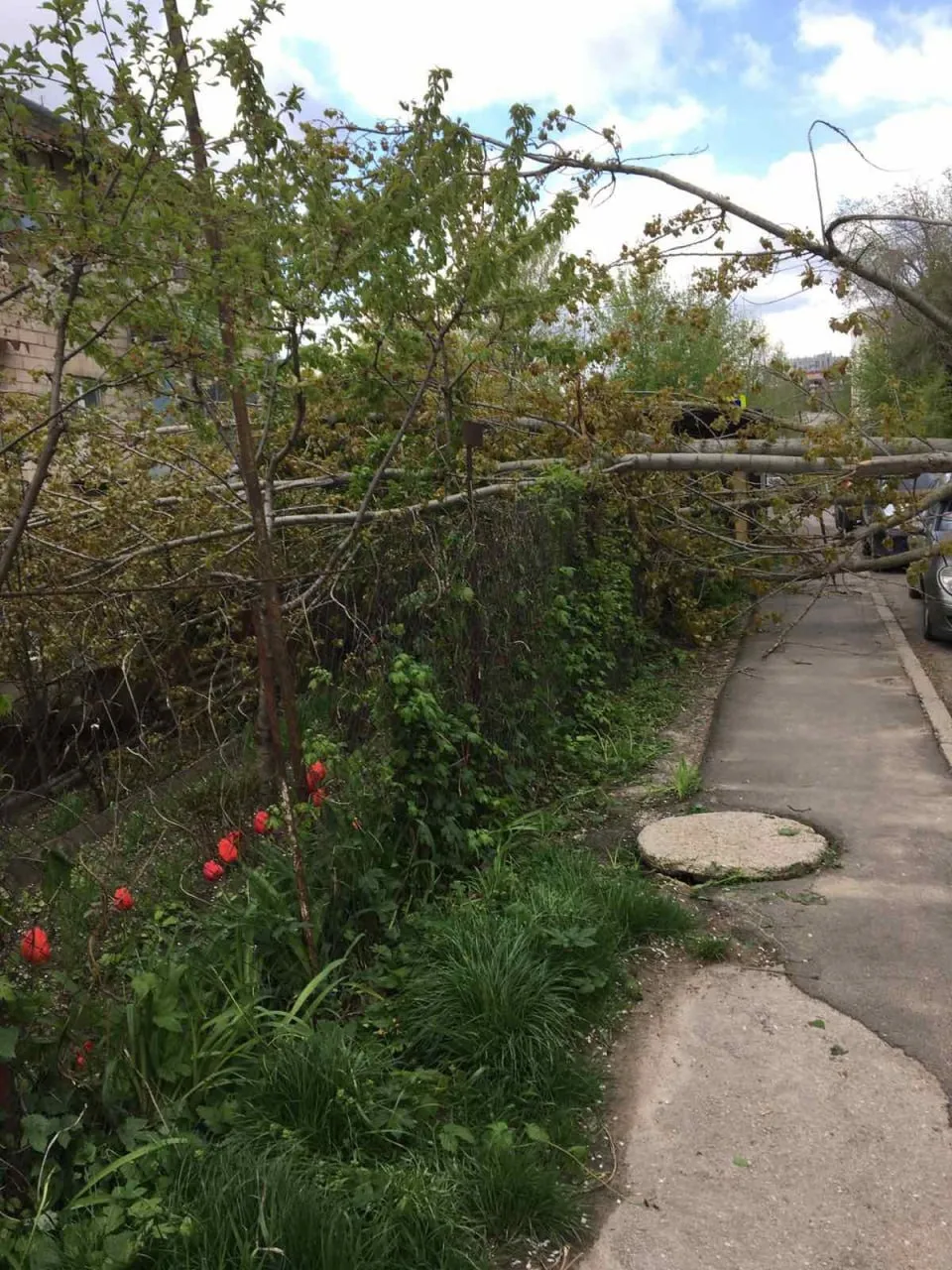 В столице опора ЛЭП упала на припаркованный автомобиль