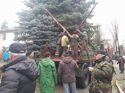 Появились фотографии елки, которую Сильвия Раду купит для кишиневцев