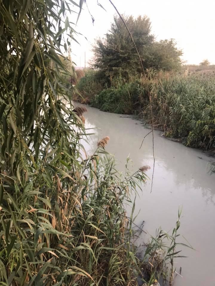Бывшая глава Apă-Canal назвала возможную причину сильной вони в Кишиневе