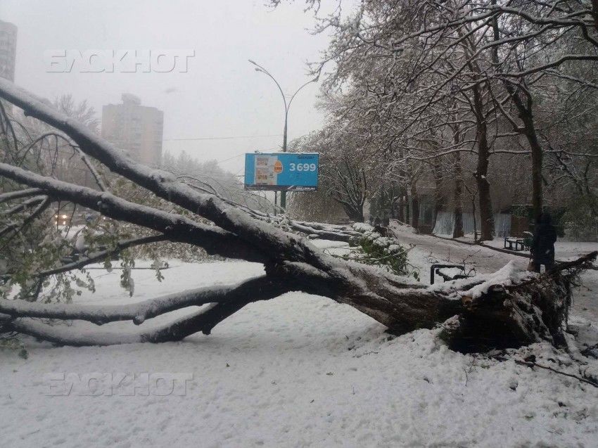 К «Воротам города» не ходят троллейбусы из-за оборванных деревьями проводов