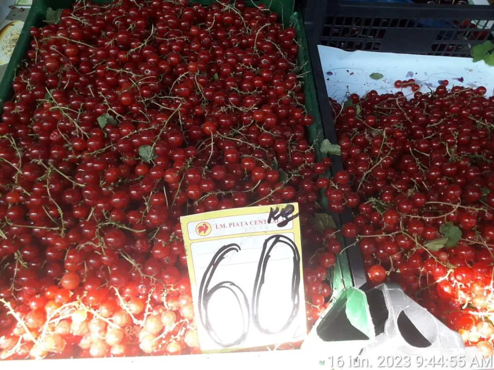 На рынке стручковую фасоль продают по 70 леев за килограмм