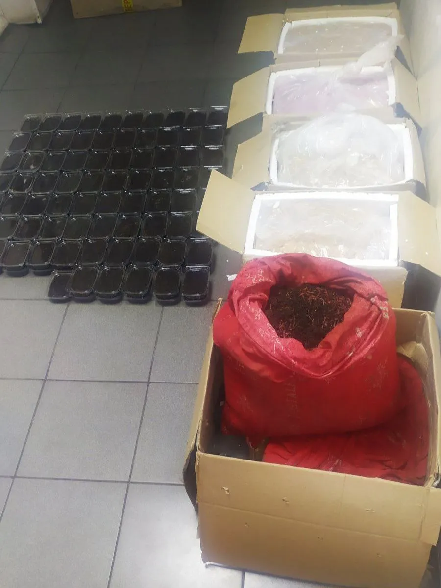 Пресечена попытка ввоза в страну партии мяса: НАБПП проводит проверку