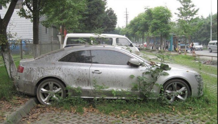 Parcare fantomă. Locul unde mașinile de lux stau prin buruieni