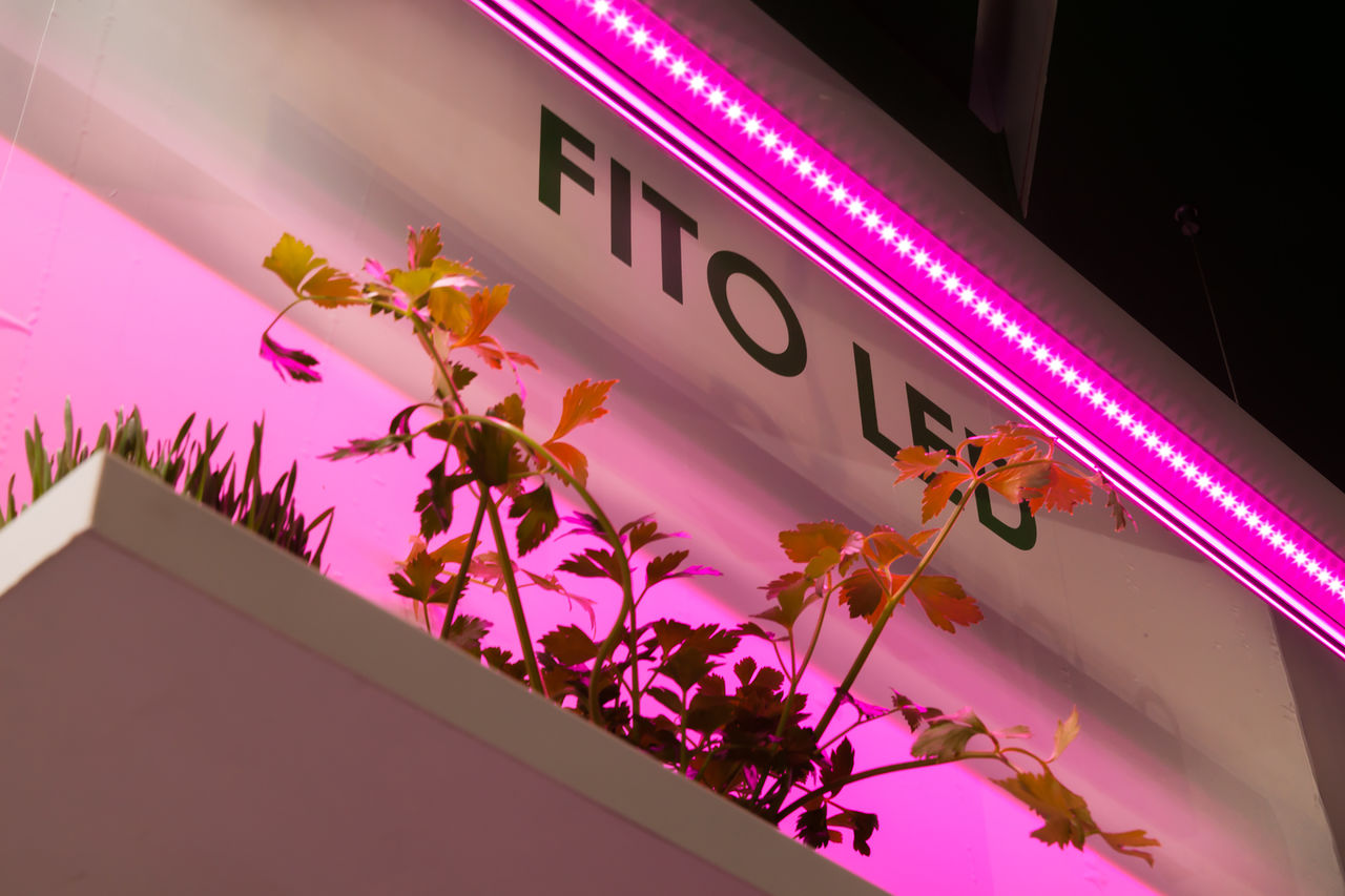 Теперь в Молдове можно приобрести специальное LED-освещение для роста растений ®