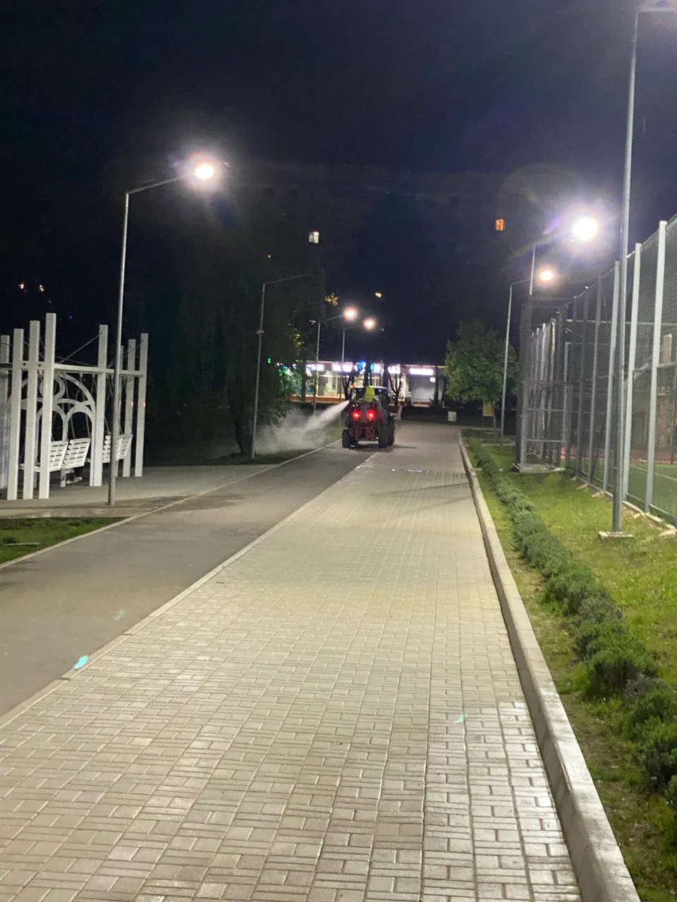 В Кишиневе началась обработка зеленых насаждений от клещей