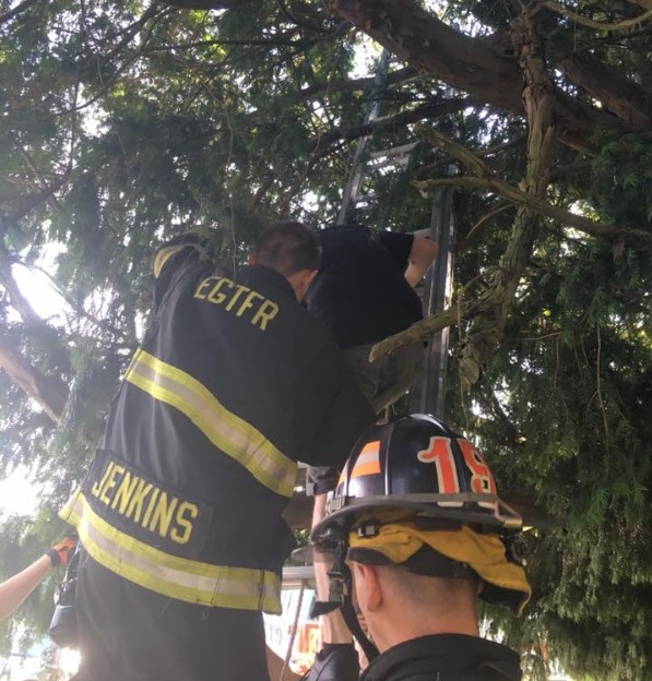 Femeie blocată într-un copac, când încerca să prindă un Pokemon