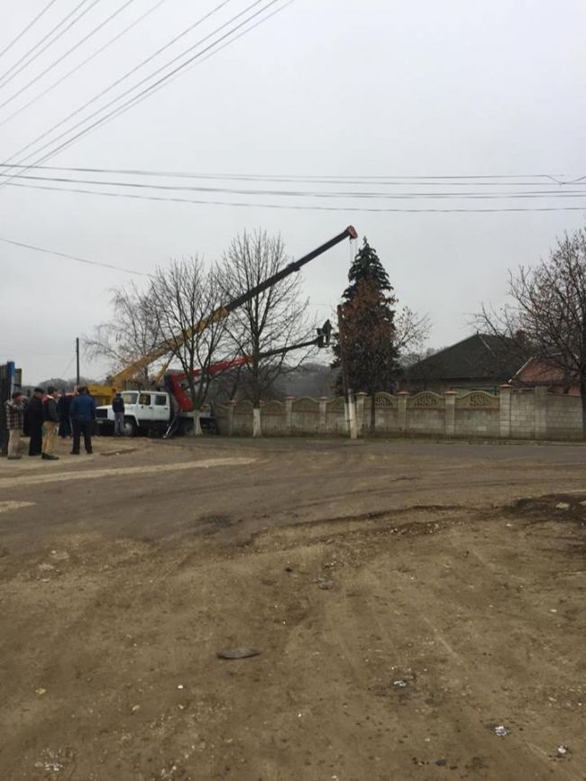 Главную новогоднюю ёлку страны спилили и везут в Кишинев