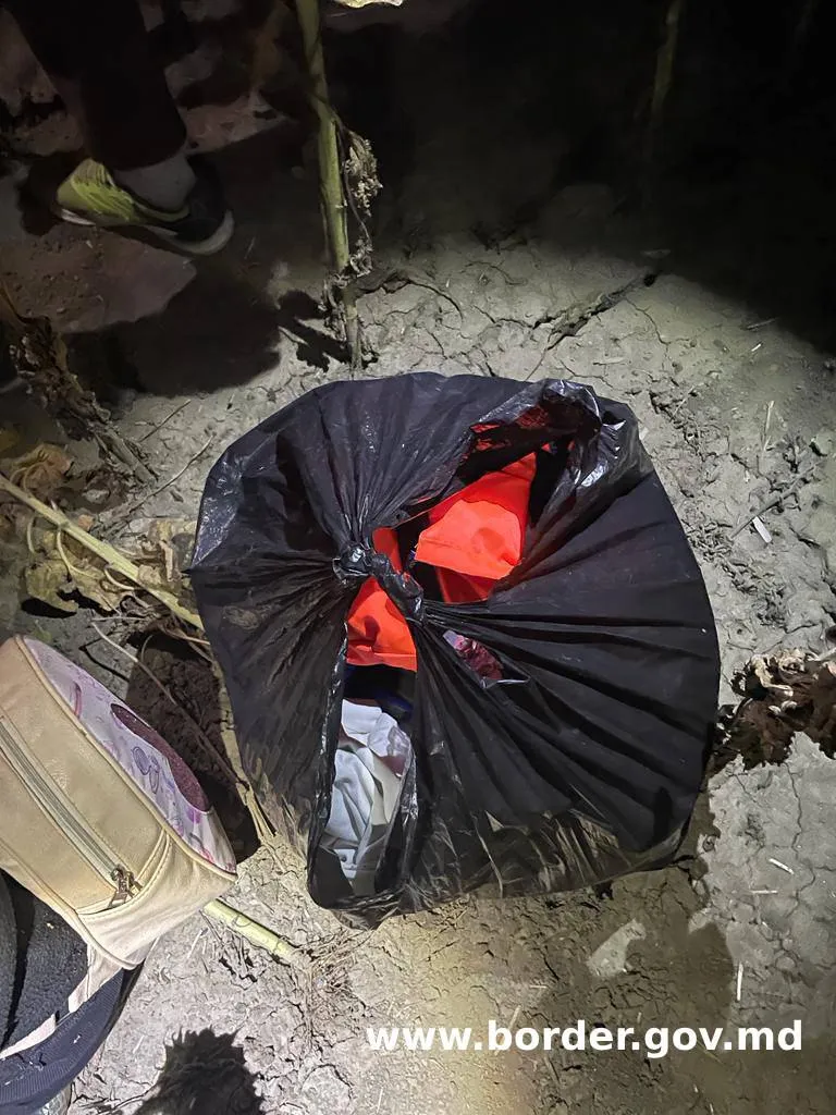 Пять иностранных граждан задержаны при попытке нелегально пересечь границу