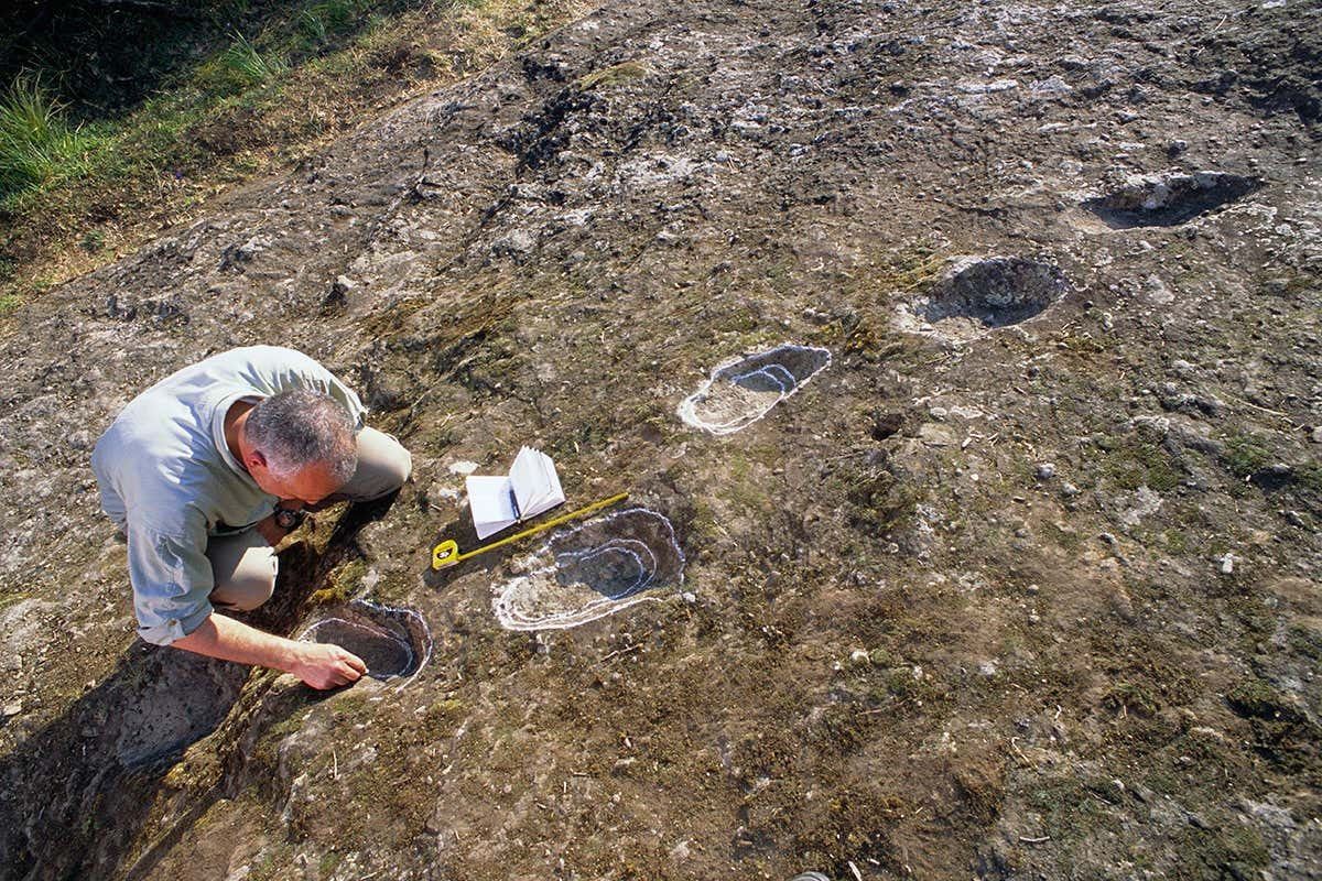 На склоне итальянского вулкана нашли следы неандертальцев