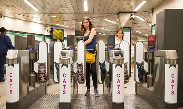 В Лондоне на станции метро рекламу заменили котами