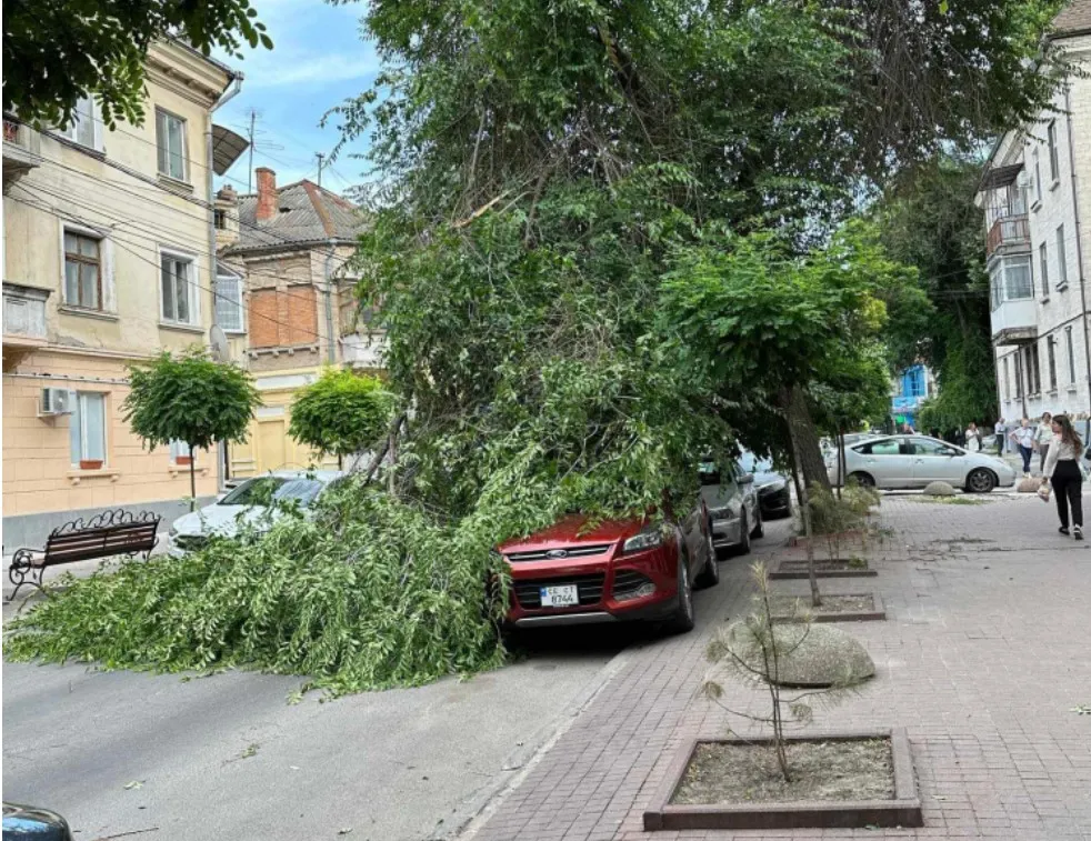 В Кишиневе огромная ветка упала на автомобиль