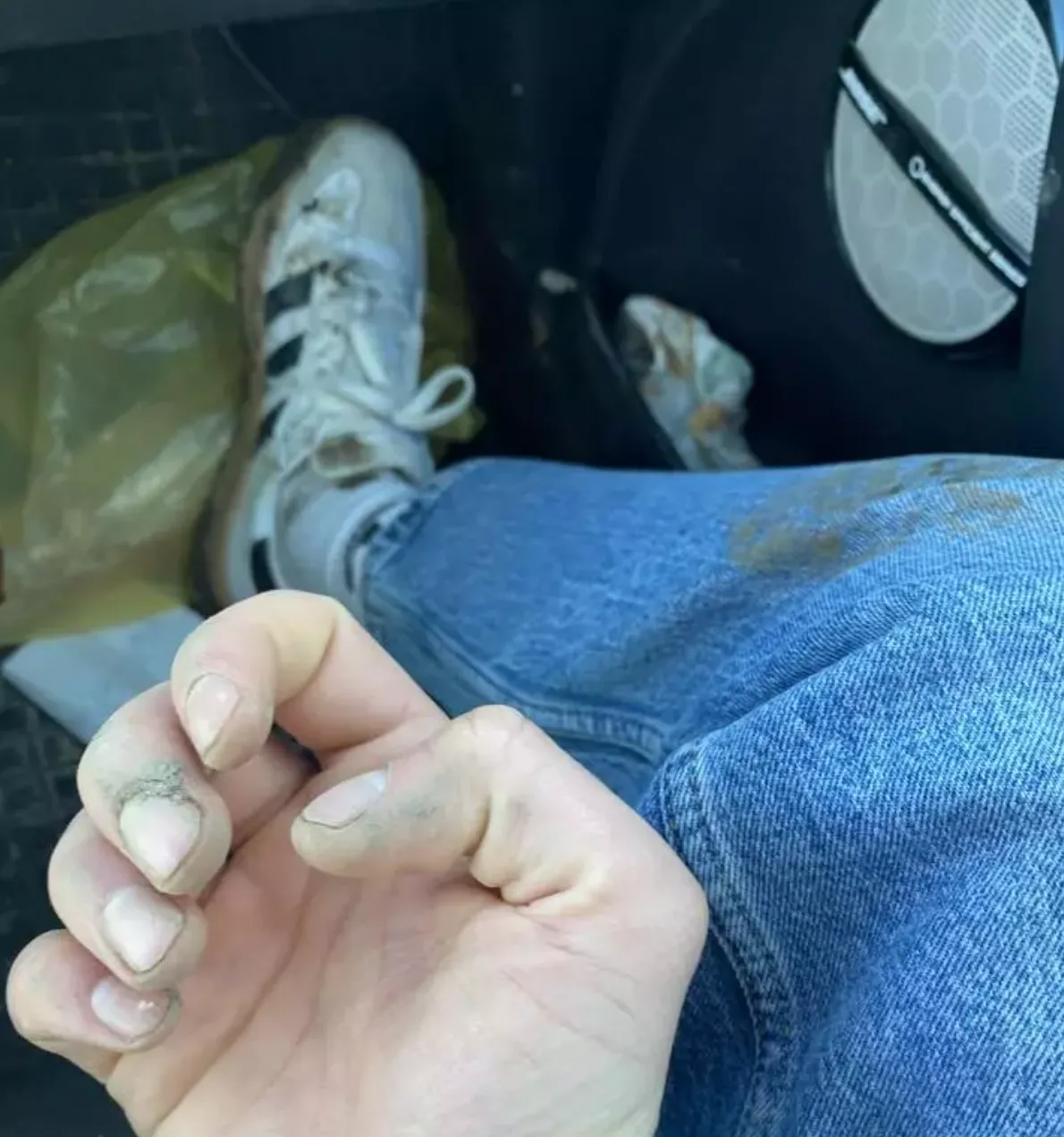 Жители Бельц жалуются на то, что их атакуют бродячие собаки: стая напала на мужчину