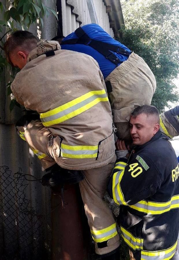 В Кишиневе пожарные спасли котенка, застрявшего 2 дня назад в трубе