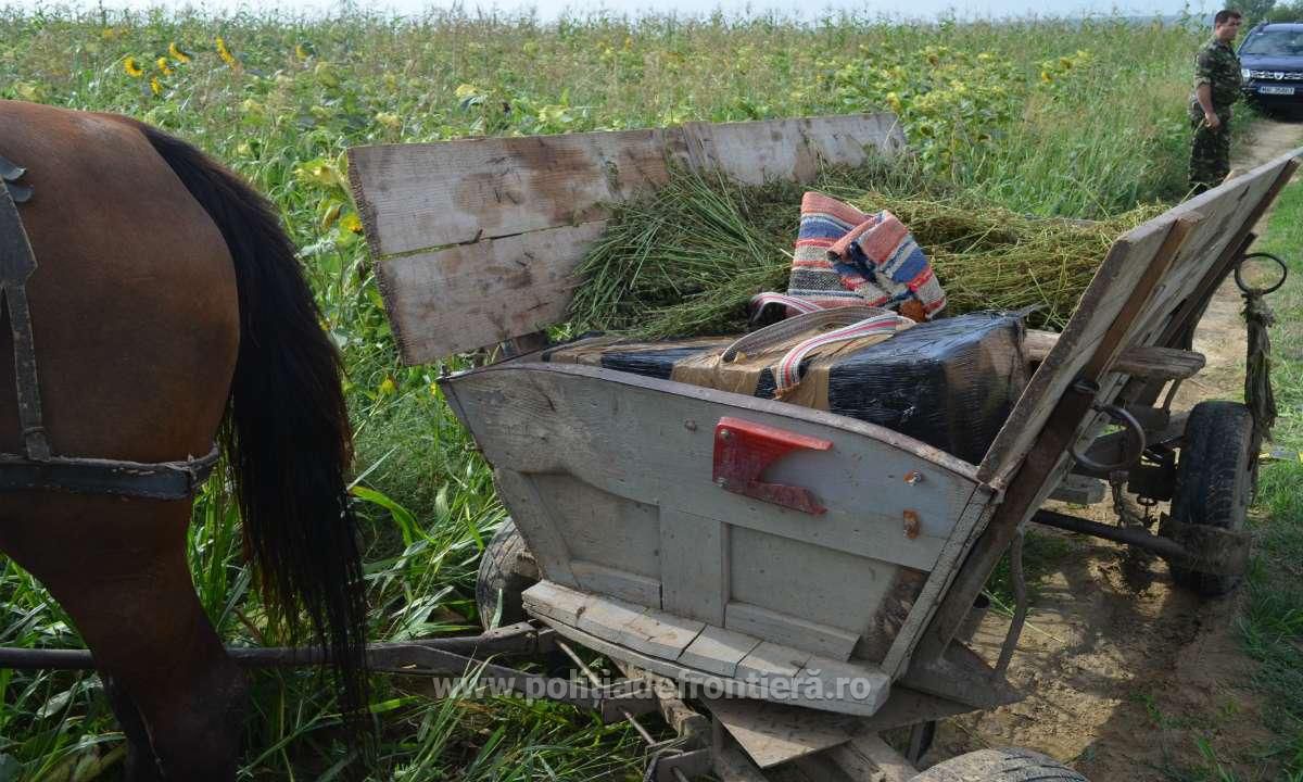 Гражданин Молдовы ради 150 евро ночью переправил через Прут 75 000 сигарет