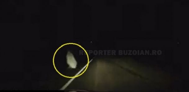 Apariție stranie în miez de noapte. Ce a văzut un bărbat în timp ce era la volan