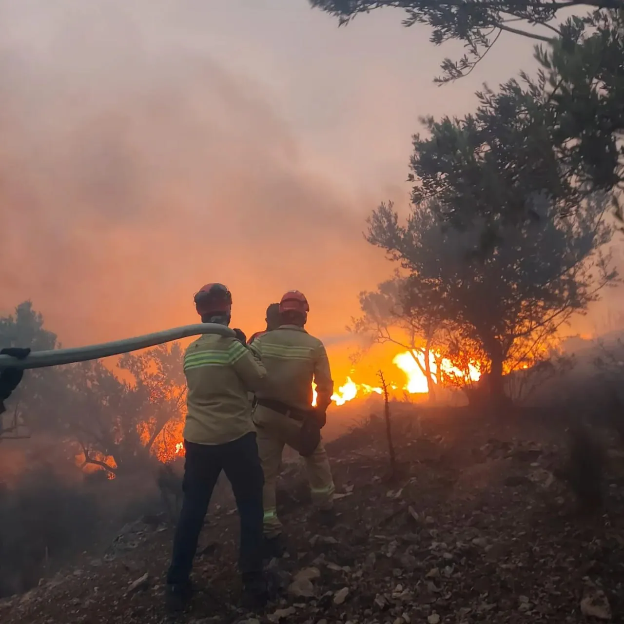 Incendiul de pădure din Izmir nu poate fi localizat deja de două zile