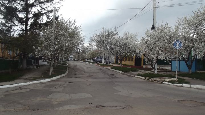 În oraşul Rezina a apărut un indicator "hibrid". Şoferii, puşi în dilemă